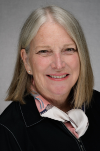 Patricia W. Stone, PhD, MPH, MSN, BSN, FAAN, FAPIC Profile Headshot