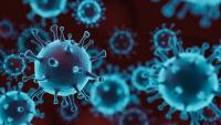 The coronavirus causing infection in host organism