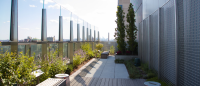 Rooftop garden.