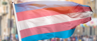 trans flag