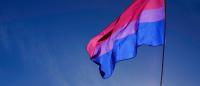 Bisexual flag waving in wind